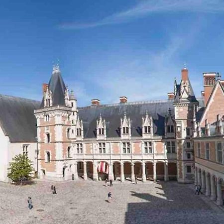 Petite Maison Avec Clim Blois Bagian luar foto