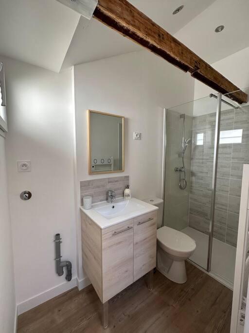 Petite Maison Avec Clim Blois Bagian luar foto