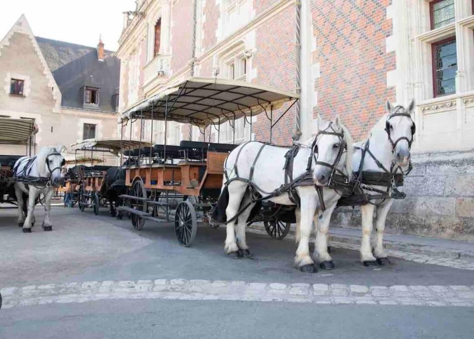 Petite Maison Avec Clim Blois Bagian luar foto