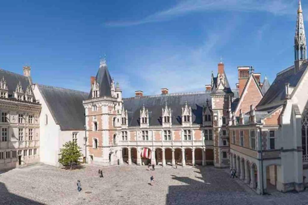 Petite Maison Avec Clim Blois Bagian luar foto